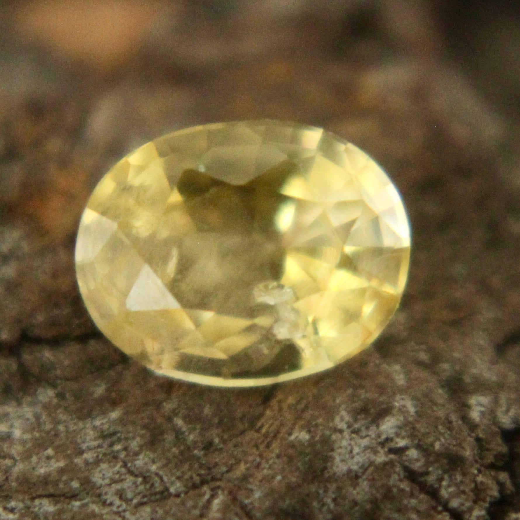 Natural Yellow Sapphire Sapphire Pal Australia