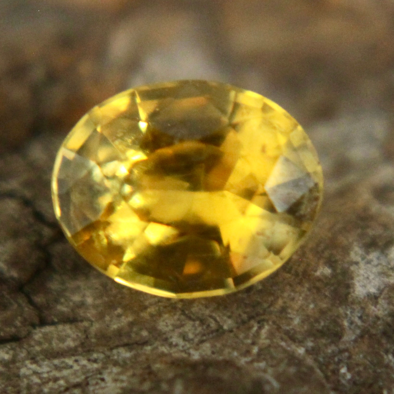 Natural Yellow Sapphire Sapphire Pal Australia