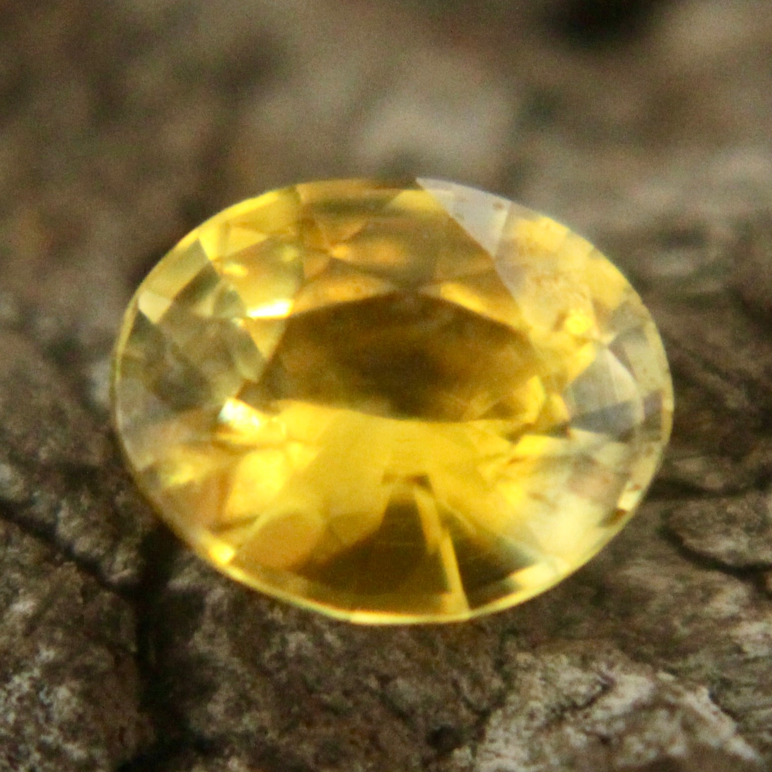 Natural Yellow Sapphire Sapphire Pal Australia