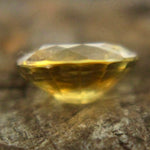 Natural Yellow Sapphire Sapphire Pal Australia