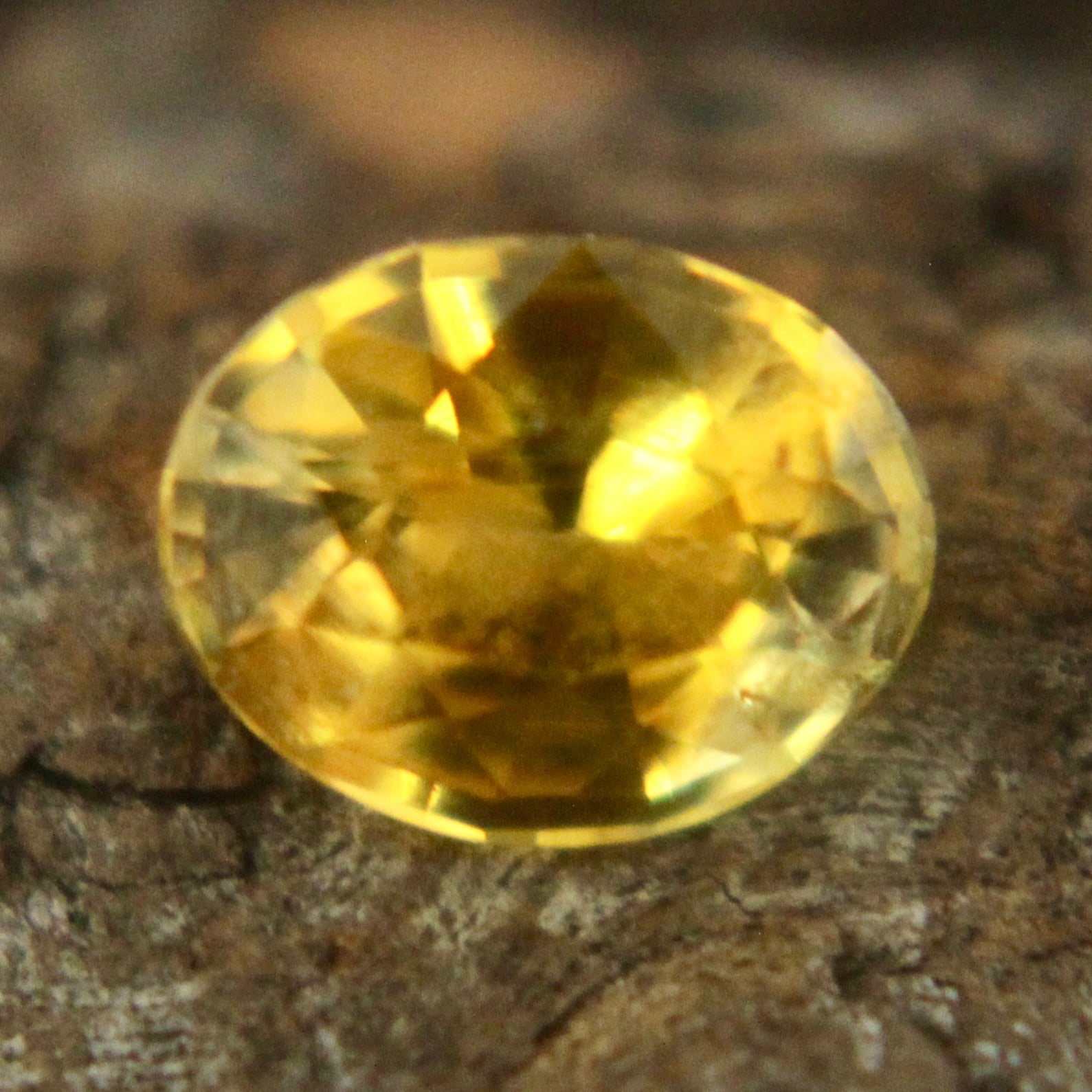 Natural Yellow Sapphire Sapphire Pal Australia