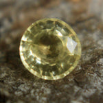 Natural Yellow Sapphire Sapphire Pal Australia