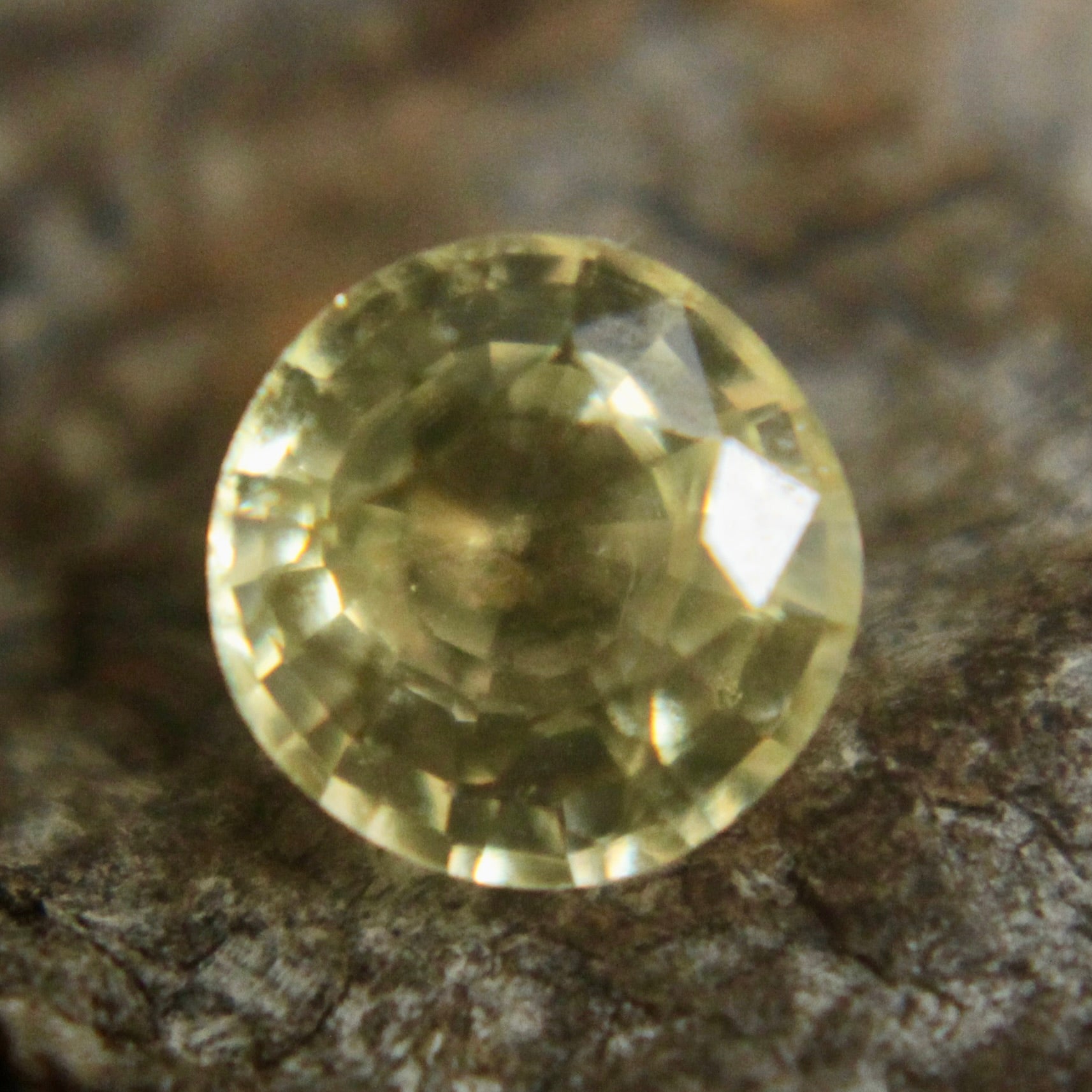 Natural Yellow Sapphire Sapphire Pal Australia