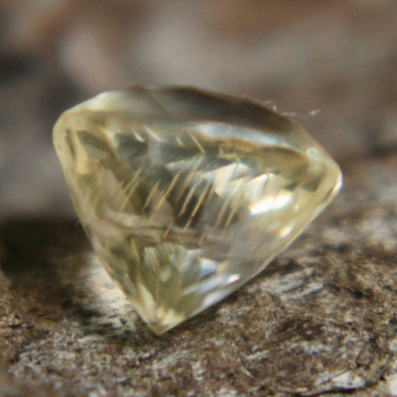 Natural Yellow Sapphire Sapphire Pal Australia