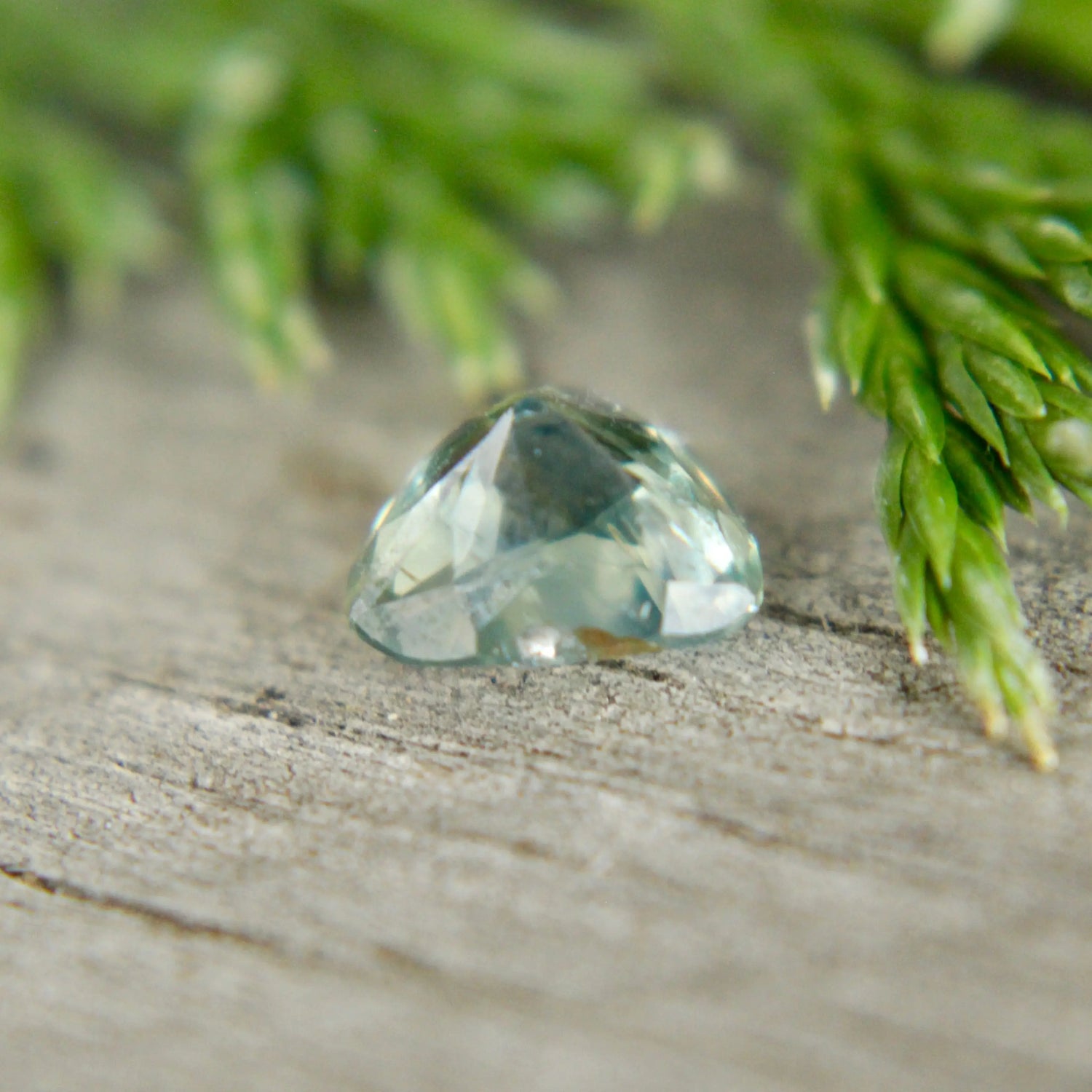 Natural Green Sapphire Sapphire Pal Australia