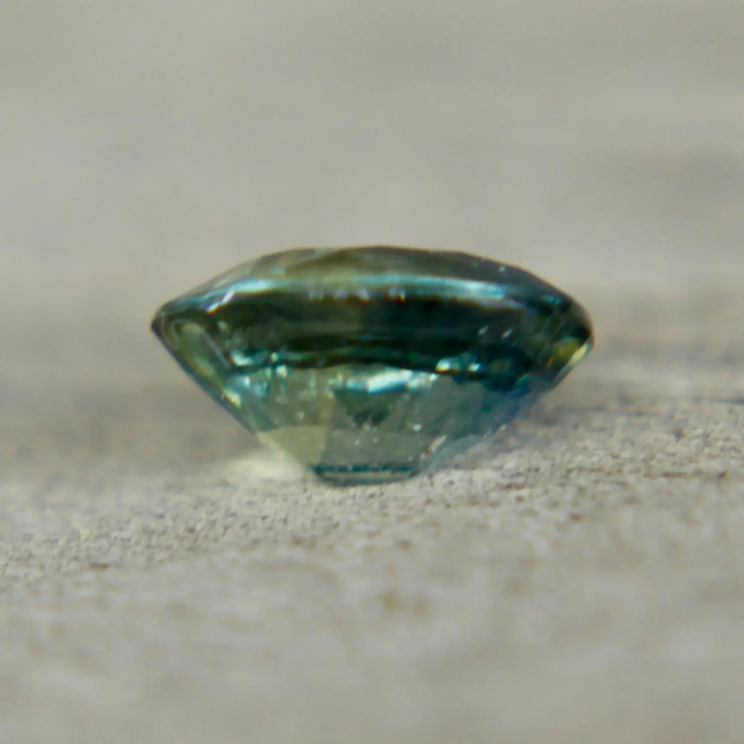 Natural Parti Sapphire Sapphire Pal